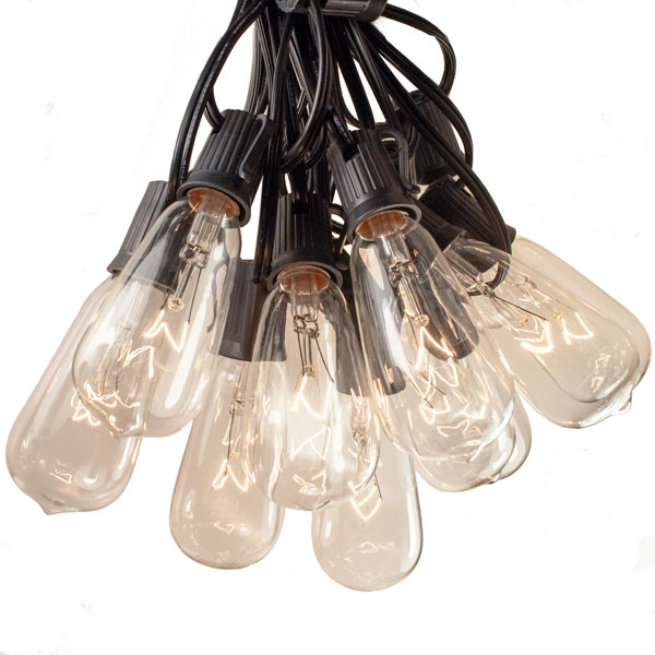 HometownEvolutionInc Edison String Lights Outdoor 50 Bulb Plugin